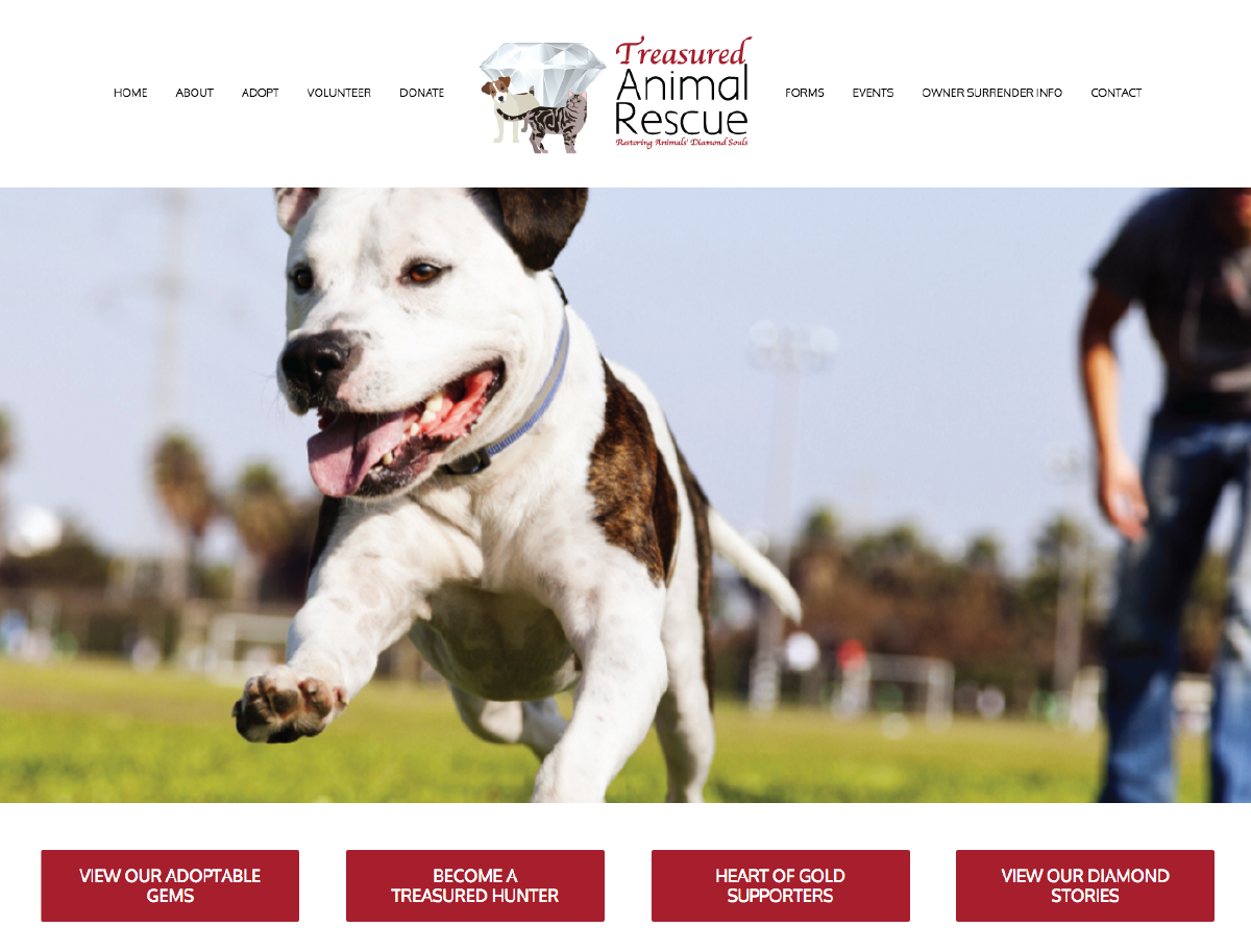Treasured Animal Rescue Website Design